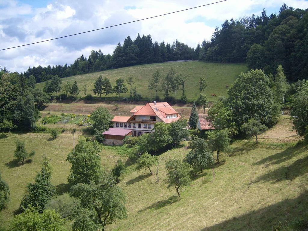 Langenberghof Apartamento Oberharmersbach Exterior foto