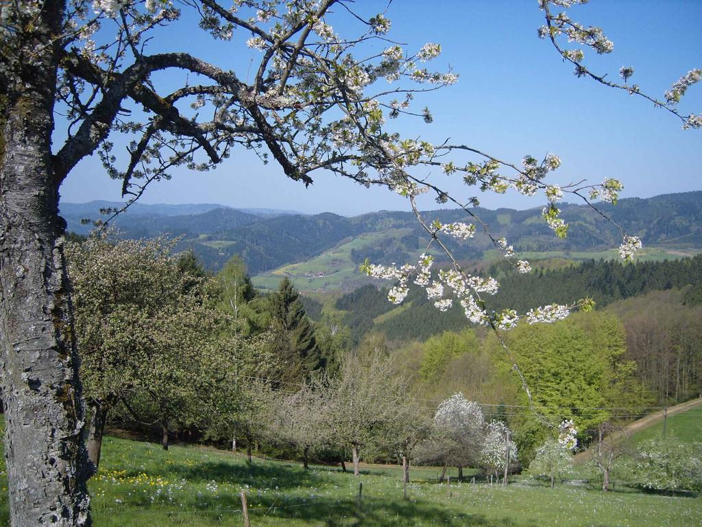 Langenberghof Apartamento Oberharmersbach Exterior foto