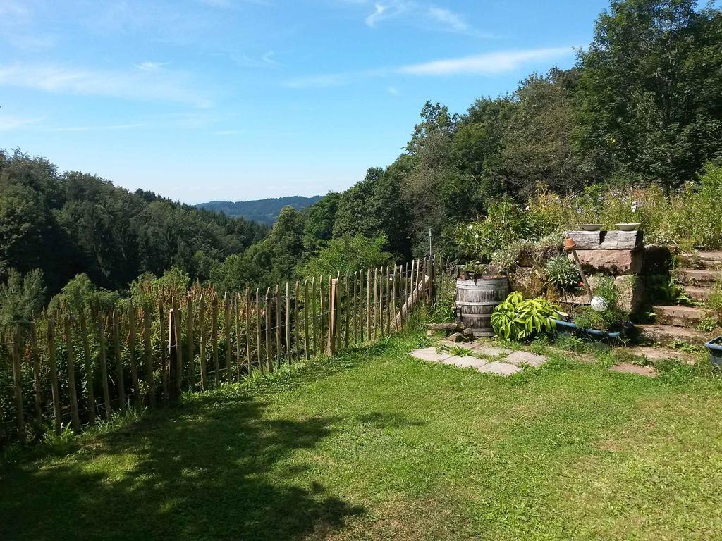 Langenberghof Apartamento Oberharmersbach Exterior foto