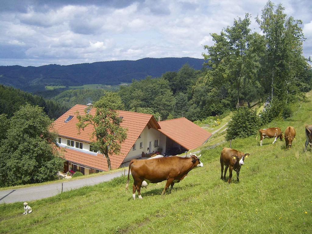 Langenberghof Apartamento Oberharmersbach Exterior foto