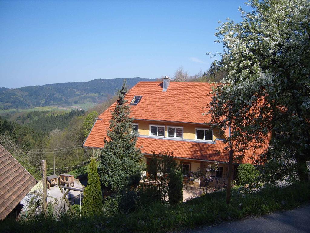 Langenberghof Apartamento Oberharmersbach Exterior foto