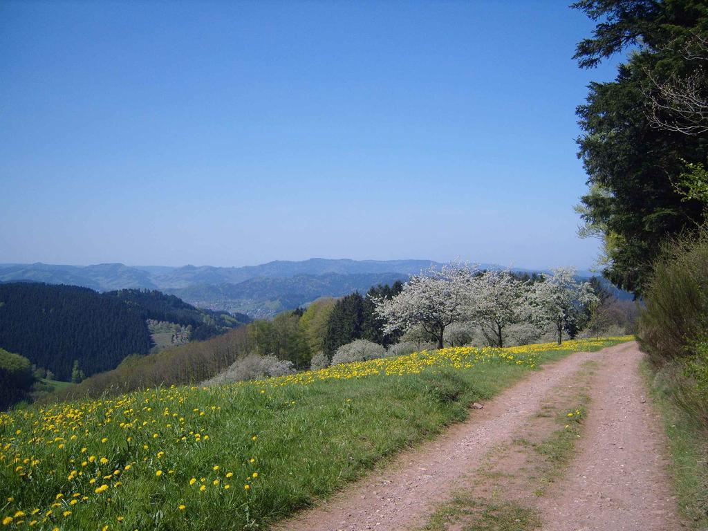 Langenberghof Apartamento Oberharmersbach Exterior foto