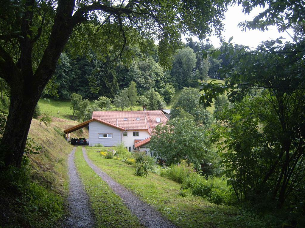 Langenberghof Apartamento Oberharmersbach Exterior foto