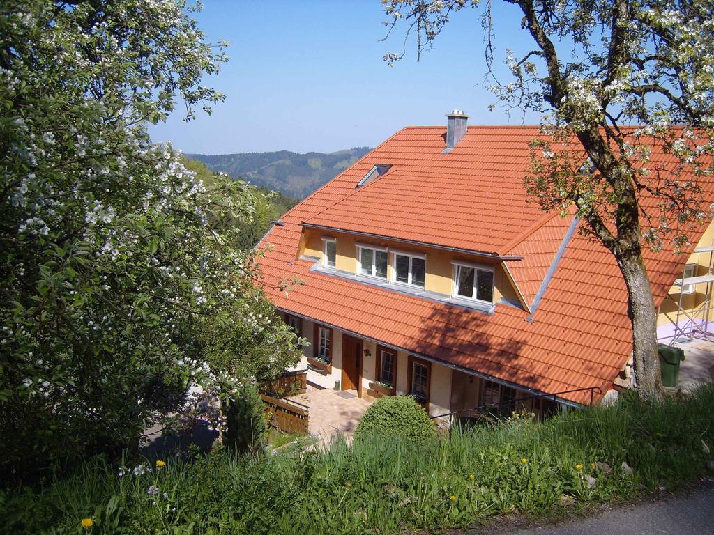 Langenberghof Apartamento Oberharmersbach Exterior foto