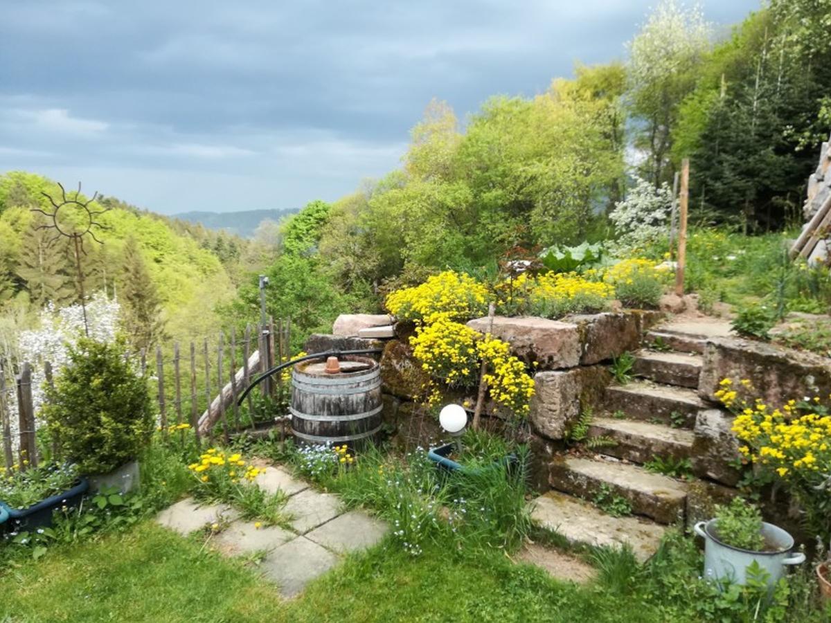 Langenberghof Apartamento Oberharmersbach Exterior foto