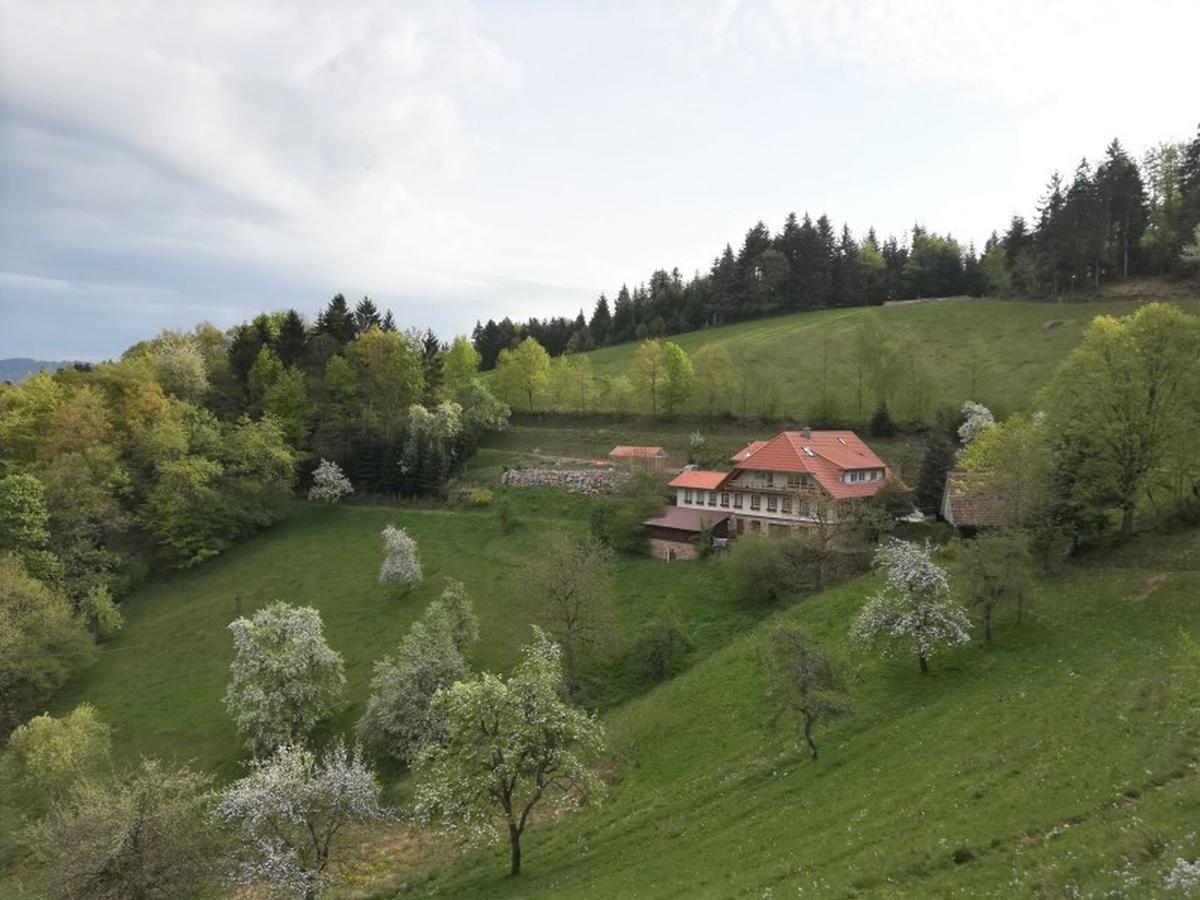 Langenberghof Apartamento Oberharmersbach Exterior foto