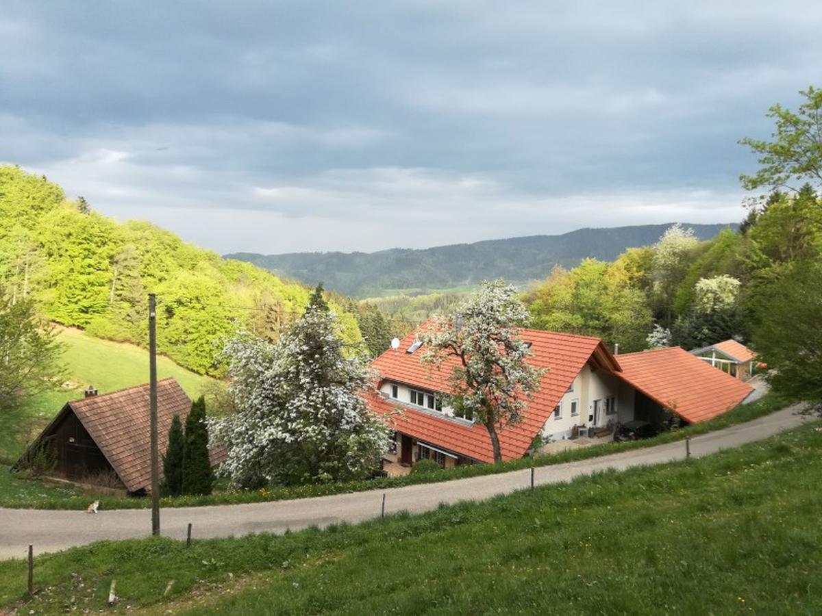 Langenberghof Apartamento Oberharmersbach Exterior foto