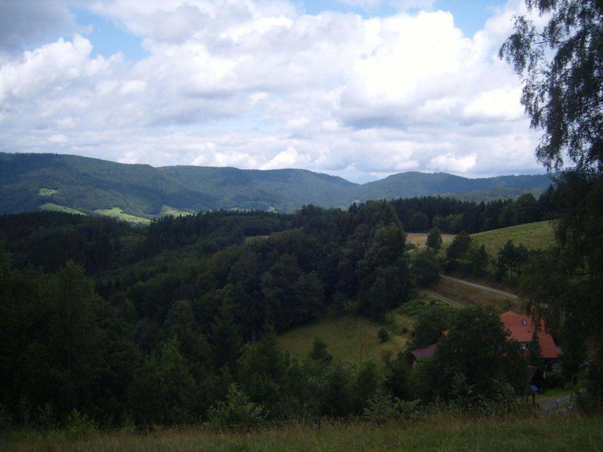 Langenberghof Apartamento Oberharmersbach Exterior foto