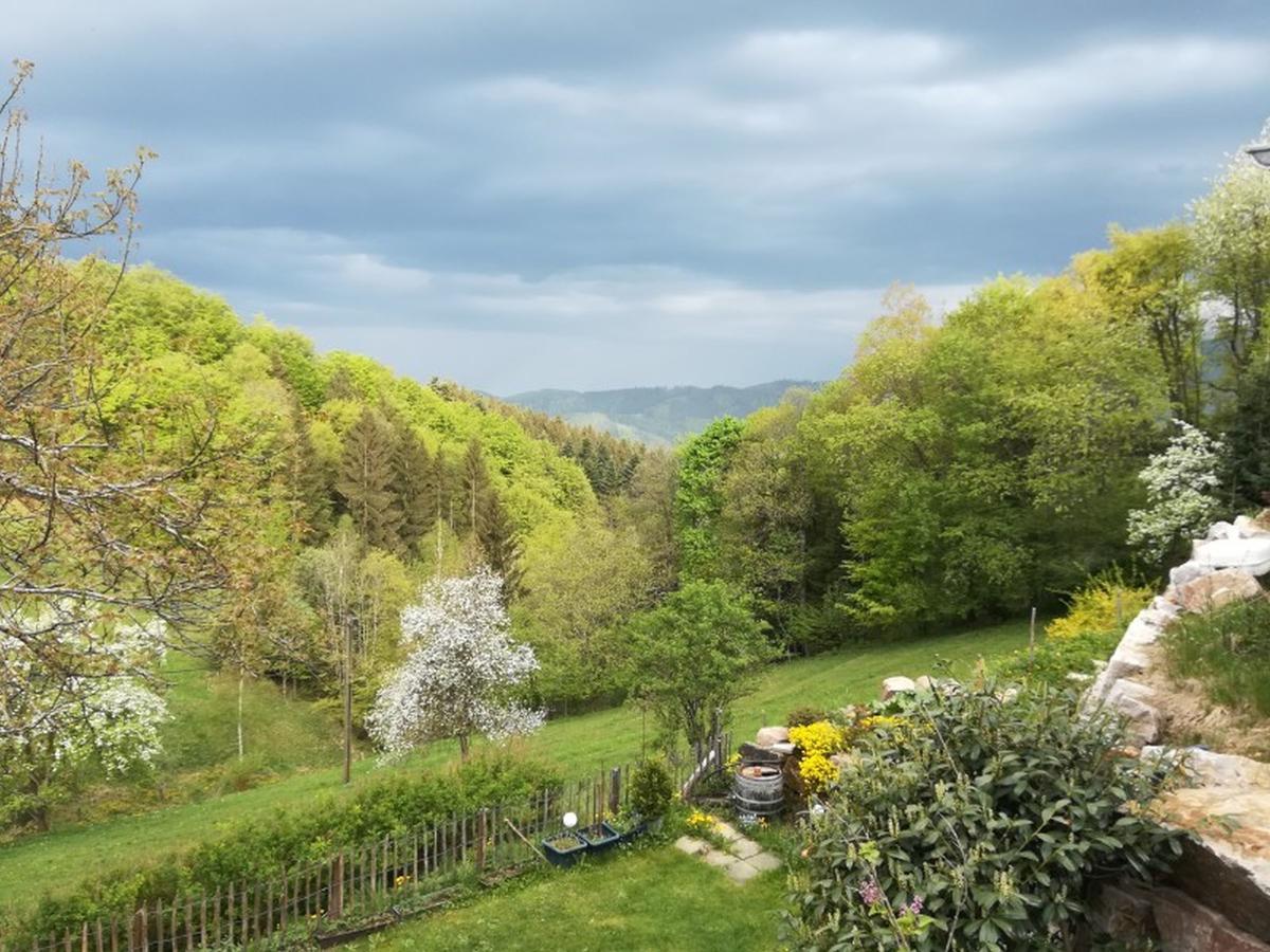 Langenberghof Apartamento Oberharmersbach Exterior foto