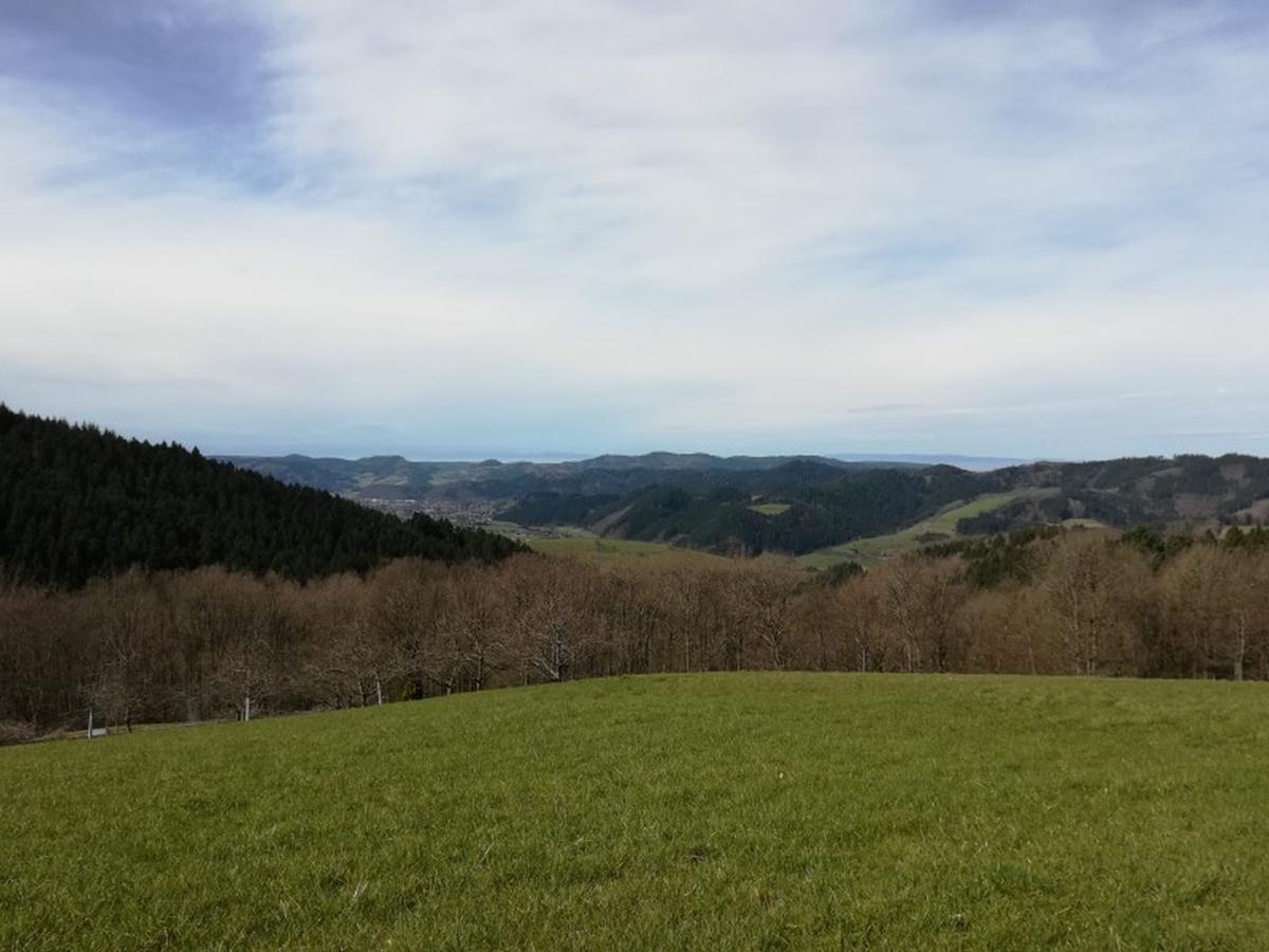 Langenberghof Apartamento Oberharmersbach Exterior foto