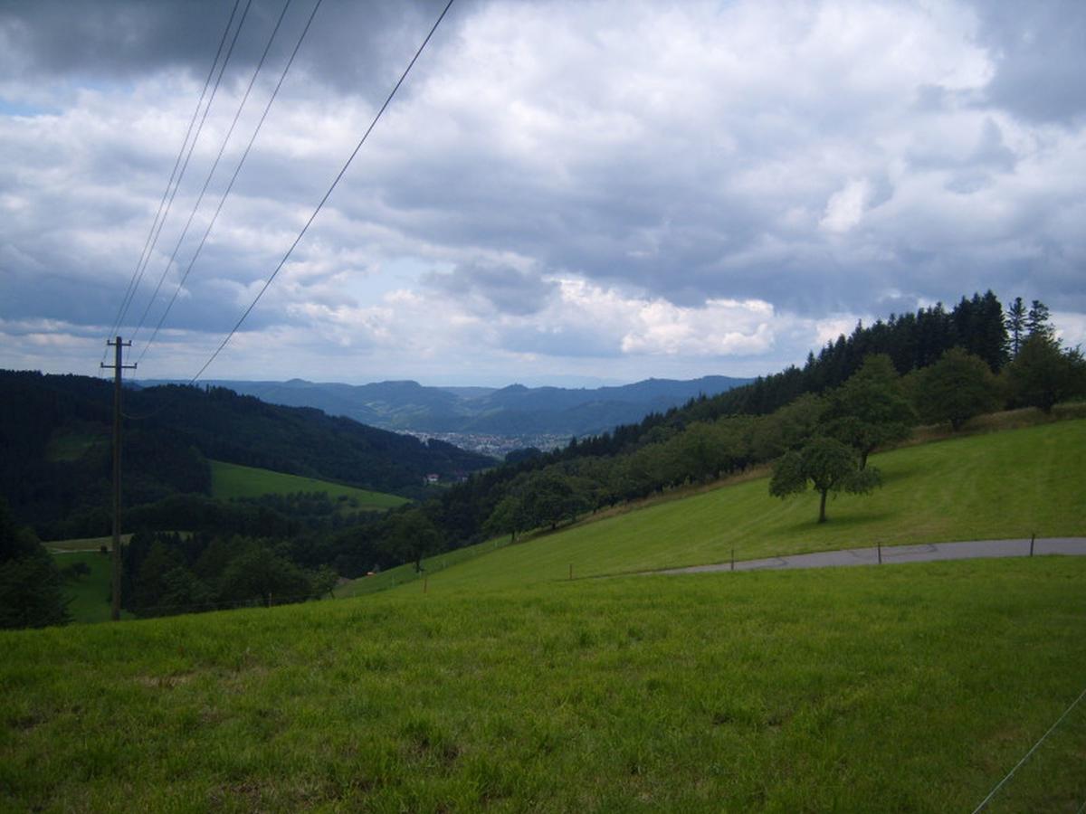 Langenberghof Apartamento Oberharmersbach Exterior foto